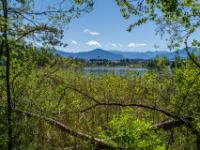 Waldausblick über den Fohnsee nach Iffeldorf und den Bergen